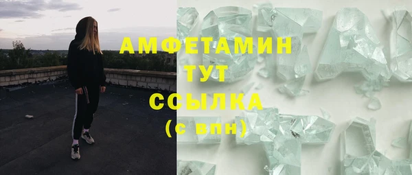шишки Бронницы