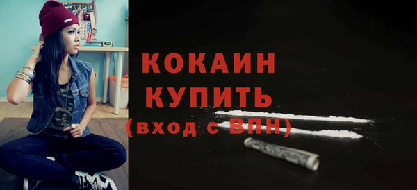 шишки Бронницы