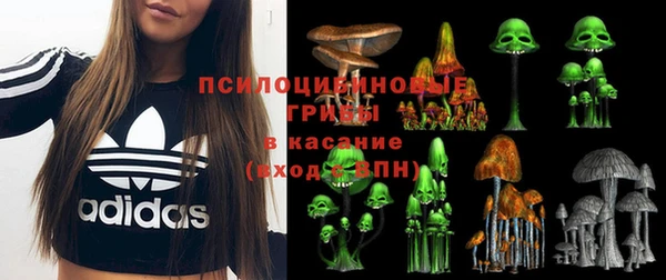 шишки Бронницы